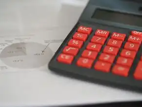 云服务器租赁税率,云服务器租用税率全解析,从基础计算到优惠政策与风险规避指南(正文约3280字)