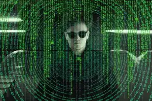 中文域名被骗怎么办，中文域名被抢注，危害解析与应对指南
