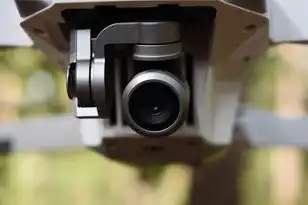 虚拟机相对于物理机的优势,虚拟机相对于物理机的核心优势及实践应用指南,重构IT基础设施的数字化转型路径