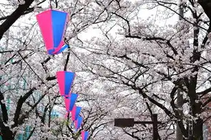 日本樱花服务器下载地址是多少，日本樱花服务器下载地址全解析，从安装指南到安全注意事项
