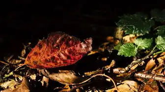 电脑主机第四个红色灯闪烁开不了机，电脑主机第四个红色灯闪烁，深度解析无法开机故障及终极解决指南