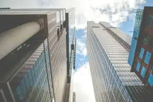 国外云服务器排名，2023年全球云服务器市场深度解析，技术性能、服务特色与行业应用全指南