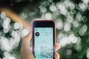 虚拟机中的文件怎么拷贝出来呢，创建快照并导出