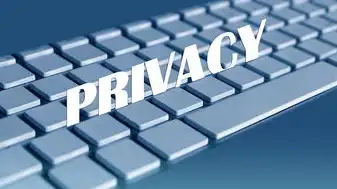 域名注册信息查询whois，域名注册人信息查询全解析，Whois查询技术指南与合规应用手册