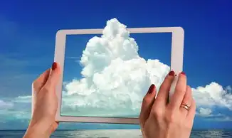云空间和云服务，云空间与云服务的本质差异解析，架构、应用场景与未来趋势