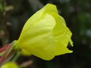 电脑主机第四个红色灯闪烁开不了机，电脑主机第四个红色指示灯闪烁无法开机全解析，从硬件故障到数据恢复的完整解决方案