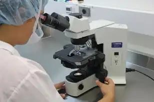 水冷主机多久维护一次，水冷主机维护全指南，科学换水周期与常见误区解析（2698字）