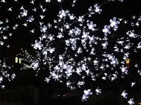 笔记本电脑当主机外接显示器,笔记本变身桌面工作站,外接显示器全攻略与高效桌面布局指南