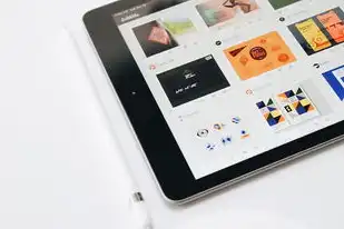 什么是云主机和网盘,云主机与网盘,数字时代的双重基础设施