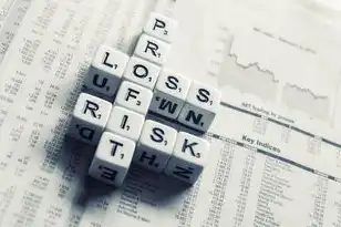 查询域名注册人信息的网站,域名注册人信息查询全指南,技术解析、隐私保护与法律合规实务(2024年深度报告)