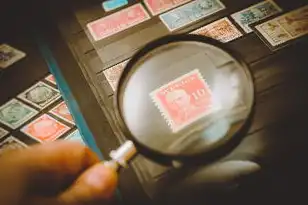 对象存储服务对比分析怎么写的，对象存储服务技术架构与商业价值深度对比研究—基于2023年主流服务商的实践分析