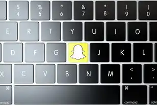 虚拟机共享软件怎么安装，虚拟机共享软件保姆级全平台安装指南，Windows/macOS/Linux/移动端实战教程（含避坑秘籍）