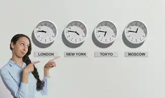 查网址域名注册时间的软件,如何高效查询域名注册时间?解析专业工具的使用技巧与行业价值