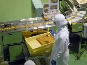 阿里云服务器机房在哪里，阿里云服务器机房地址查询全解析，地理分布、技术原理与实战指南（3468字）