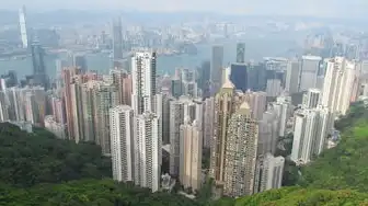 香港域名注册商标流程,香港域名注册商标全流程深度解析,从申请到维护的完整指南
