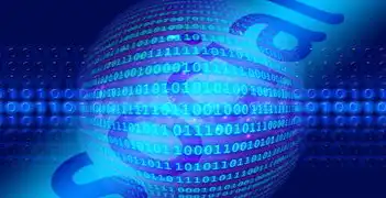 源码怎么部署到服务器，bin/bash