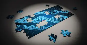 部署项目云服务器怎么选比较好的,企业级云服务器选型全指南,从需求分析到成本优化的7大核心法则