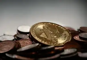 国际顶级域名注册证书怎么查看网站信息的，如何通过国际顶级域名注册证书查看网站信息，全流程解析与实用技巧