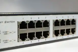 局域网共享服务器硬盘,优先级队列配置(Linux iproute2)