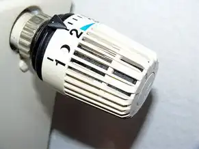 云服务器配置桌面怎么设置密码，增加图形化依赖