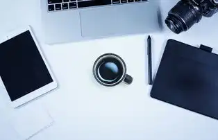 云主机规格类型有哪些，云主机的规格类型解析，从硬件架构到业务适配的选型全指南