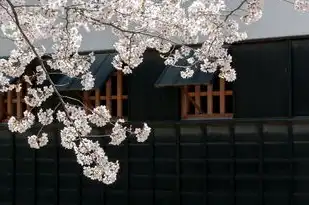日本樱花服务器网站进入，日本樱花云服务器免费使用全攻略，如何在线访问并获取隐藏福利？揭秘樱花云的三大核心优势与安全指南