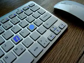虚拟机挂在u盘怎么打开操作界面，U盘启动虚拟机全流程操作指南，从文件挂载到系统安装的完整解析